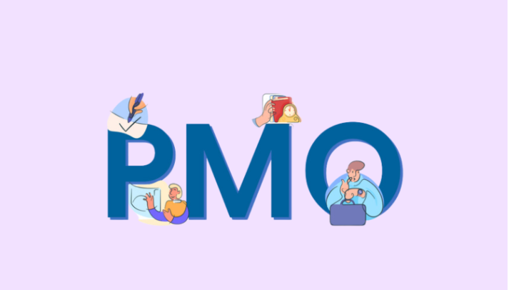 PMO Meaning Text Using Method and Ideal Response 2024