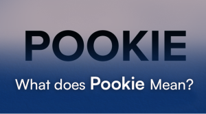 What Does Pookie Mean