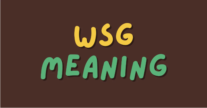 What Does WSG Mean? Introduction, Meaning, and Responses