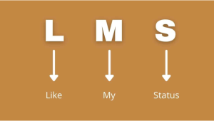 LMS Meaning Text