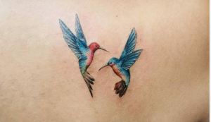 Hummingbird Meaning