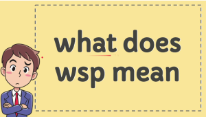 WSP Meaning