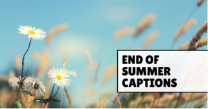 End of Summer Captions