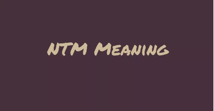 NTM Meaning Slang