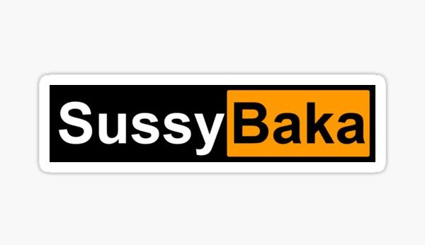 Sussy Baka Meaning