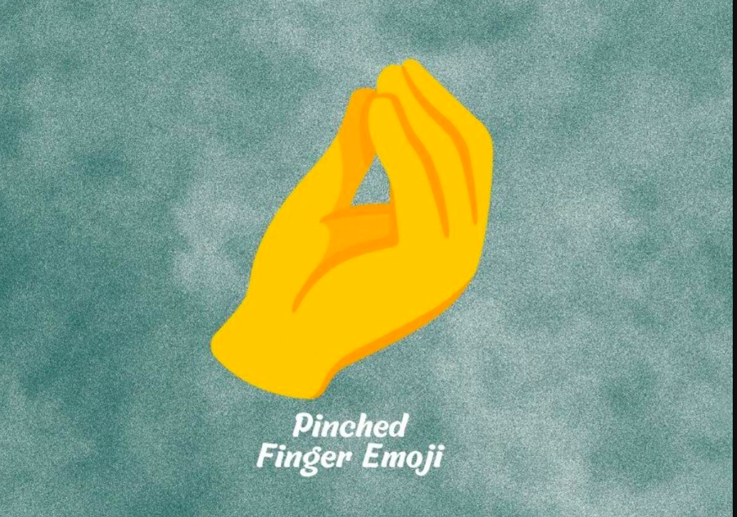 🤌 Meaning- What Does Pinched Fingures🤌 mean?